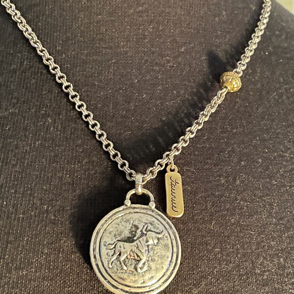 NWT! Chico’s Taurus Adjustable and reversible! Silver pendant necklace - Picture 2 of 5